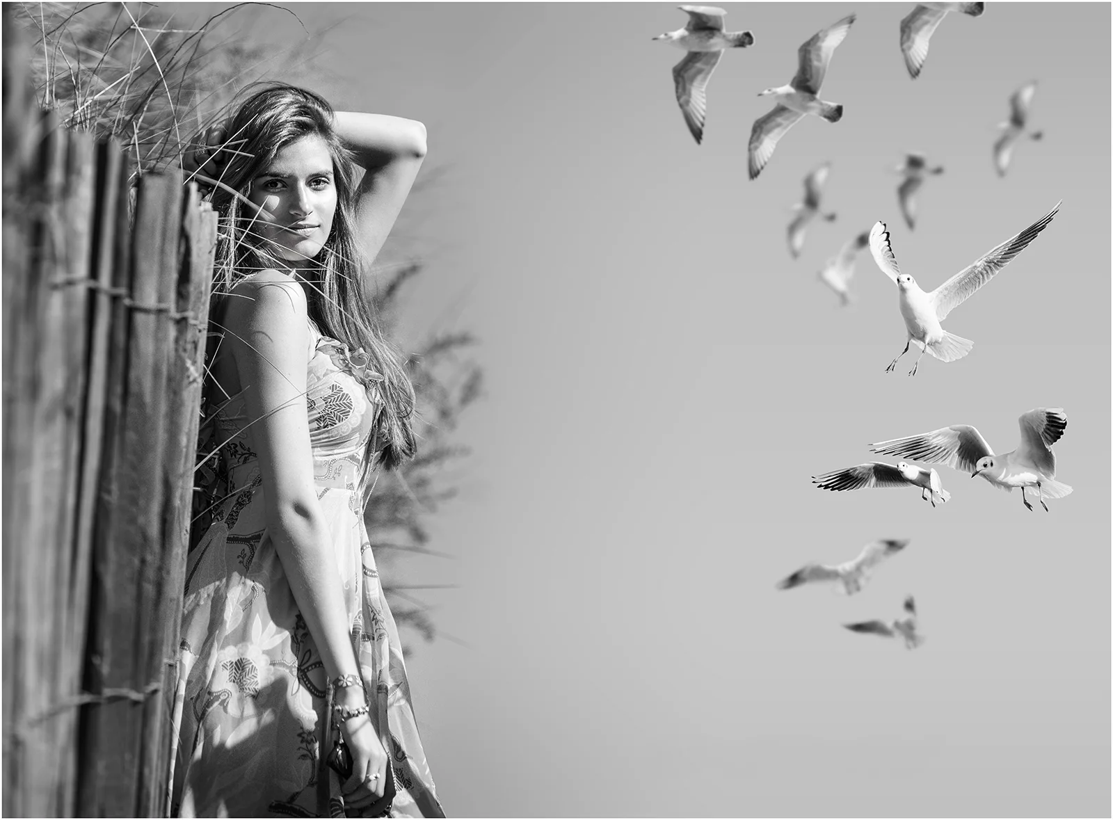 Photographe Professionnel -SIGNES- -Var- -FRANCE-